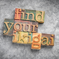 Find your Ikigai purpose